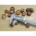 China Grade AAA Orgânica Smooth Shiitake Cogumelo